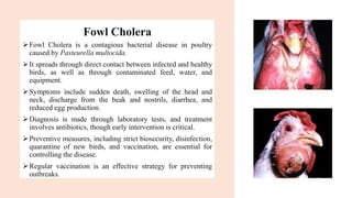 Fowl Cholera
➢Fowl Cholera is a contagious bacterial disease in poultry
caused by Pasteurella multocida.
➢It spreads through direct contact between infected and healthy
birds, as well as through contaminated feed, water, and
equipment.
➢Symptoms include sudden death, swelling of the head and
neck, discharge from the beak and nostrils, diarrhea, and
reduced egg production.
➢Diagnosis is made through laboratory tests, and treatment
involves antibiotics, though early intervention is critical.
➢Preventive measures, including strict biosecurity, disinfection,
quarantine of new birds, and vaccination, are essential for
controlling the disease.
➢Regular vaccination is an effective strategy for preventing
outbreaks.
 