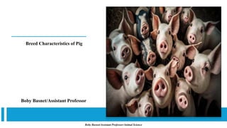 Breed Characteristics of Pig
Boby Basnet/Assistant Professor
Boby Basnet/Assistant Professor/Animal Science
 