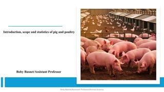 Introduction, scope and statistics of pig and poultry
Boby Basnet/Assistant Professor
Boby Basnet/Assistant Professor/Animal Science
 
