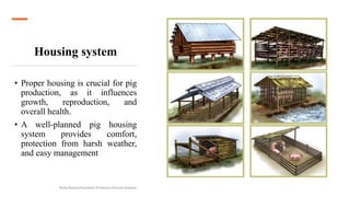 Housing system
• Proper housing is crucial for pig
production, as it influences
growth, reproduction, and
overall health.
• A well-planned pig housing
system provides comfort,
protection from harsh weather,
and easy management
Boby Basnet/Assistant Professor/Animal Science
 