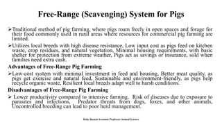 Free-Range (Scavenging) System for Pigs
➢Traditional method of pig farming, where pigs roam freely in open spaces and forage for
their food commonly used in rural areas where resources for commercial pig farming are
limited.
➢Utilizes local breeds with high disease resistance, Low input cost as pigs feed on kitchen
waste, crop residues, and natural vegetation, Minimal housing requirements, with basic
shelter for protection from extreme weather, Pigs act as savings or insurance, sold when
families need extra cash.
Advantages of Free-Range Pig Farming
➢Low-cost system with minimal investment in feed and housing, Better meat quality, as
pigs get exercise and natural feed, Sustainable and environment-friendly, as pigs help
recycle organic waste, Resilient local breeds adapt well to harsh conditions.
Disadvantages of Free-Range Pig Farming
➢ Lower productivity compared to intensive farming, Risk of diseases due to exposure to
parasites and infections, Predator threats from dogs, foxes, and other animals,
Uncontrolled breeding can lead to poor herd management.
Boby Basnet/Assistant Professor/Animal Science
 