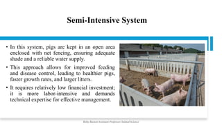 Semi-Intensive System
• In this system, pigs are kept in an open area
enclosed with net fencing, ensuring adequate
shade and a reliable water supply.
• This approach allows for improved feeding
and disease control, leading to healthier pigs,
faster growth rates, and larger litters.
• It requires relatively low financial investment;
it is more labor-intensive and demands
technical expertise for effective management.
Boby Basnet/Assistant Professor/Animal Science
 