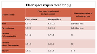 Floor space requirement for pig
Type of animal
Floor space requirement
(m2 per animal) Maximum number of
animals per pen
Covered area Open paddock
Boar 6.0-7.0 8.8-12.0 Individual pens
Farrowing pen 7.0-9.0 8.8-12.0 Individual pens
Fattener
(3-5 months old)
0.9-1.2 0.9-1.2 30
Fattener
(above five months)
1.3-1.8 1.3.1.8 30
Dry sow 1.8-2.7 1.4-1.8 3-10
 