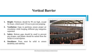 Vertical Barrier
1. Height: Partitions should be 90 cm high, except
for boars, which need 110 cm to prevent jumping.
2. Ventilation: Gaps in partitions ensure proper air
circulation while keeping different pig categories
separated.
3. Safety: Bottom gaps should be small to prevent
pig escapes, and planks should be nailed from the
inside to avoid injuries.
4. Sturdiness: Posts must be solid to ensure
durability and stability.
Boby Basnet/Assistant Professor/Animal Science
 