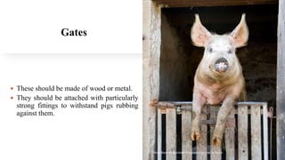Gates
 These should be made of wood or metal.
 They should be attached with particularly
strong fittings to withstand pigs rubbing
against them.
Boby Basnet/Assistant Professor/Animal Science
 