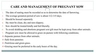 CARE AND MANAGEMENT OF PREGNANT SOW
1. The date of mating must be recorded so as to determine the date of farrowing.
2. The average gestation period of sow is about 112-115 days.
3. Should be housed separately
4. Sty must be clean, dry and non-slippery.
5. Sow should be treated kindly and fed liberally.
6. To avoid skidding and abortions pregnant sow/gilt must be kept away from other animals.
7. Pregnant sow must be allowed to graze on pasture with following conditions;
❖ -Separate pasture from other animals.
❖ -Safe from parasites
❖ -Nutritious and green grass.
❖ -Grazing must be preferred in the early hours of the day.
 