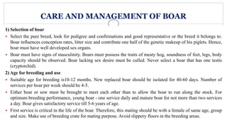 CARE AND MANAGEMENT OF BOAR
1) Selection of boar
 Select the pure breed, look for pedigree and confirmations and good representative or the breed it belongs to.
Boar influences conception rates, litter size and contribute one half of the genetic makeup of his piglets. Hence,
boar must have well developed sex organs.
 Boar must have signs of masculinity. Boars must possess the traits of meaty hog, soundness of feet, legs, body
capacity should be observed. Boar lacking sex desire must be culled. Never select a boar that has one testis
(cryptorchid).
2) Age for breeding and use
 Suitable age for breeding is10-12 months. New replaced boar should be isolated for 40-60 days. Number of
services per boar per week should be 4-5.
 Either boar or sow must be brought to meet each other than to allow the boar to run along the stock. For
optimum breeding performance, young boar - one service daily and mature boar for not more than two services
a day. Boar gives satisfactory service till 5-6 years of age.
 First service is critical in the life of the boar. Therefore, this mating should be with a female of same age, group
and size. Make use of breeding crate for mating purpose. Avoid slippery floors in the breeding areas.
 