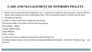 CARE AND MANAGEMENT OF NEWBORN PIGLETS
 Piglets must be protected from trampling by sow. A ground rail around the farrowing pen is also an effective
means of preventing sows from crushing their litters. The rail should be raised 8-10 inches from the floor .
 Prevention of anemia-
(a) Add @ 25mg Fe and 5mg of copper per day per pig.
(b) Paint the udder of sow daily with the following mixture.
Iron sulphate - 500gm
Copper sulphate-70gm
Sugar-500gram
Water -10 litres
(c) Allow free access to piglets for parasite free runs with fresh soil
(d) Intramuscular injection of iron- dextrose compound (Impheron)1ml/piglets on 4th and 14th days of age can
be given.
 