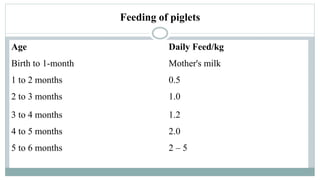 Feeding of piglets
Age Daily Feed/kg
Birth to 1-month Mother's milk
1 to 2 months 0.5
2 to 3 months 1.0
3 to 4 months 1.2
4 to 5 months 2.0
5 to 6 months 2 – 5
 