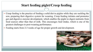 Start feeding piglet/Creep feeding
 Creep feeding is the practice of feeding a solid diet to piglets while they are suckling the
sow, preparing their digestive system for weaning. Creep feeding initiates and promotes
gut and digestive enzyme development, which enables the piglet to digest nutrients from
food sources other than that of milk. This encourages feed intake, which is one of the
greatest challenges to post-weaning performance.
 Feeding starts from 2-3 weeks of age for proper growth and development.
 