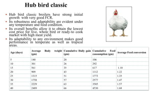 Hub bird classic
 Hub bird classic broilers have strong initial
growth with very good FCR.
 Its robustness and adaptability are evident under
any temperature and feed condition.
 Its overall benefits allow it to obtain the lowest
cost price for live, whole bird or ready-to cook
market with high meat yield.
 Its adaptability to any environment makes good
performance in temperate as well as tropical
areas.
Boby Basnet/Assistant Professor/Animal Science
Age (days)
Average Body weight
(gm)
Cumulative Daily gain
(gm)
Cumulative Feed
consumption (gm)
Average Feed conversion
5 140 20 106
10 301 26 292
15 561 35 617 1.10
20 909 43 1112 1.22
25 1315 51 1773 1.35
30 1758 57 2577 1.47
35 2229 63 3505 1.57
40 2489 66 4530 1.68
 