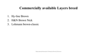 Commercially available Layers breed
1. Hy-line Brown
2. H&N Brown Nick
3. Lohmann brown-classic
Boby Basnet/Assistant Professor/Animal Science
 