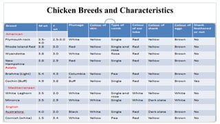 Chicken Breeds and Characteristics
 