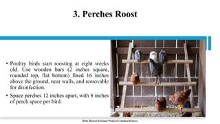 3. Perches Roost
• Poultry birds start roosting at eight weeks
old. Use wooden bars (2 inches square,
rounded top, flat bottom) fixed 16 inches
above the ground, near walls, and removable
for disinfection.
• Space perches 12 inches apart, with 8 inches
of perch space per bird.
Boby Basnet/Assistant Professor/Animal Science
 