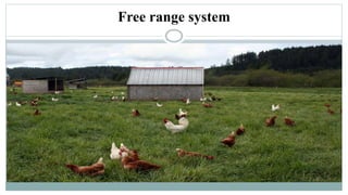 Free range system
 