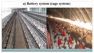 a) Battery system (cage system):
 