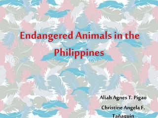 Endangered Animals inthe
Philippines
AliahAgnes T. Pigao
ChristineAngela F.
Tañaquin
 