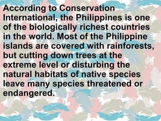 According to Conservation
International, the Philippines is one
of the biologically richest countries
in the world. Most of the Philippine
islands are covered with rainforests,
but cutting down trees at the
extreme level or disturbing the
natural habitats of native species
leave many species threatened or
endangered.
 