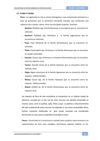 PIGARS – SAN ROMAN[PLAN INTEGRAL DE GESTION AMBIENTAL DE RESIDUOS SOLIDOS]
MUNICIPALIDADPROVINCIAL DE SAN ROMAN | 12
4.5 FLORA Y FAUNA
Flora.- La vegetación es más o menos homogénea, cuya composición principal es a
base de gramíneas que se presentan formando manojos que conforman una
cubierta más o menos densa. Entre las principales especies tenemos:
- Queñua: Polylepis spp. Familia Rosaceae, e una especie que se encuentra en
extinción.
- Quishuar: Buddleja spp. Pertenece a la familia Loganiaceae que se
encuentra en extinción.
- Puya: Puya Raimondi de la familia Bromeliaceae que se encuentra en
extinción.
- Thola: Parastrephia spp. Pertenece a la familia Asteraceae que se encuentra
en estado vulnerable.
- Cantuta: Cantua spp. Pertenece a la familia Polemoniácea que se encuentra
entre las especies raras.
- Yareta: Azorella Varita de la familia Apiaceae que se encuentra entre las
especies raras.
- Pajpa: Agave americana de la familia Agavaceae que se encuentra entre las
especies indeterminadas.
- Mutuy: Cassia spp. De la familia Fabaceae que se encuentra entre las
especies indeterminadas.
- Roque: Colletia sp. De la familia Rhamnaceae que se encuentra entre las
especies raras.
Las especies de flora de este ecosistema se encuentran en un relativo estado de
deterioro, causado por el mal uso de estos recursos con pérdida irreversible en
muchos casos, como la queñua, qolly, thola y puya. La pobreza y desconocimiento
del valor ambiental de estos recursos, ha originado su uso como combustible, fibras,
taninos, sustancias medicinales, en gran escala, causando una considerable
disminución en unos casos y la pérdida irreversible en otros.
Fauna.- Encontrada en la provincia es variada tanto acuática como terrestre y es
representativa de esta zona ecológica. Numerosas especies habitan en los
 