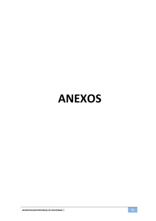 MUNICIPALIDADPROVINCIAL DE SAN ROMAN | 88
ANEXOS
 