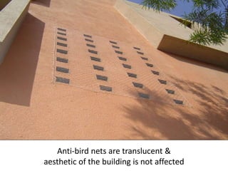 Anti-bird nets are translucent &
aesthetic of the building is not affected
 