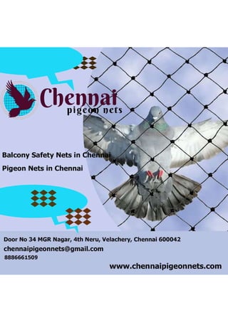 Pigeon Nets in Chennai.pdf
