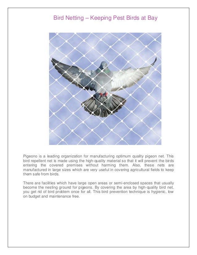 Pigeon Protector Bird Pest Control Bird Net Dealers In Hyderabad