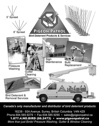 Pigeon patrol ad
