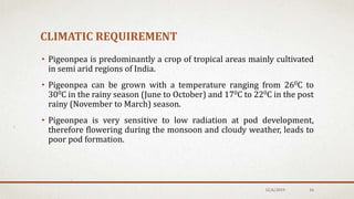 CLIMATIC REQUIREMENT
• Pigeonpea is predominantly a crop of tropical areas mainly cultivated
in semi arid regions of India.
• Pigeonpea can be grown with a temperature ranging from 260C to
300C in the rainy season (June to October) and 170C to 220C in the post
rainy (November to March) season.
• Pigeonpea is very sensitive to low radiation at pod development,
therefore flowering during the monsoon and cloudy weather, leads to
poor pod formation.
12/6/2019 16
 