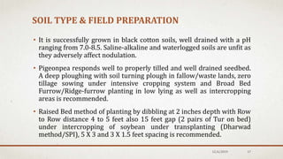 SOIL TYPE & FIELD PREPARATION
• It is successfully grown in black cotton soils, well drained with a pH
ranging from 7.0-8.5. Saline-alkaline and waterlogged soils are unfit as
they adversely affect nodulation.
• Pigeonpea responds well to properly tilled and well drained seedbed.
A deep ploughing with soil turning plough in fallow/waste lands, zero
tillage sowing under intensive cropping system and Broad Bed
Furrow/Ridge-furrow planting in low lying as well as intercropping
areas is recommended.
• Raised Bed method of planting by dibbling at 2 inches depth with Row
to Row distance 4 to 5 feet also 15 feet gap (2 pairs of Tur on bed)
under intercropping of soybean under transplanting (Dharwad
method/SPI), 5 X 3 and 3 X 1.5 feet spacing is recommended.
12/6/2019 17
 