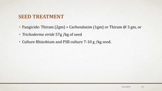 SEED TREATMENT
• Fungicide: Thiram (2gm) + Carbendazim (1gm) or Thiram @ 3 gm, or
• Trichoderma viride 57g /kg of seed
• Culture Rhizobium and PSB culture 7-10 g /kg seed.
12/6/2019 25
 