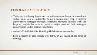 FERTILIZER APPLICATION
• This crop is a heavy feeder on the soil nutrients, hence, it should not
suffer from lack of nutrients. Being a leguminous crop it utilizes
atmospheric nitrogen through symbiotic nitrogen fixation with the
help of nodule bacteria to meet a major part of their nitrogen
requirement under normal conditions.
• A dose of 20-30:80-100: 40-60 kg NPK/ha is recommended.
• Soils deficient in zinc should get ZnSO4 @ 25 kg/ha at the time of
sowing.
12/6/2019 26
 