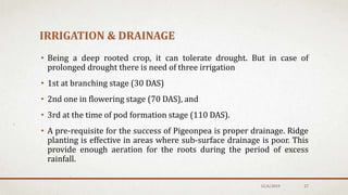 IRRIGATION & DRAINAGE
• Being a deep rooted crop, it can tolerate drought. But in case of
prolonged drought there is need of three irrigation
• 1st at branching stage (30 DAS)
• 2nd one in flowering stage (70 DAS), and
• 3rd at the time of pod formation stage (110 DAS).
• A pre-requisite for the success of Pigeonpea is proper drainage. Ridge
planting is effective in areas where sub-surface drainage is poor. This
provide enough aeration for the roots during the period of excess
rainfall.
12/6/2019 27
 