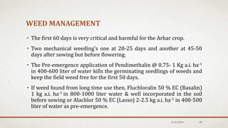 WEED MANAGEMENT
• The first 60 days is very critical and harmful for the Arhar crop.
• Two mechanical weeding's one at 20-25 days and another at 45-50
days after sowing but before flowering.
• The Pre-emergence application of Pendimethalin @ 0.75- 1 Kg a.i. ha-1
in 400-600 liter of water kills the germinating seedlings of weeds and
keep the field weed free for the first 50 days.
• If weed found from long time use then, Fluchloralin 50 % EC (Basalin)
1 kg a.i. ha-1 in 800-1000 liter water & well incorporated in the soil
before sowing or Alachlor 50 % EC (Lasso) 2-2.5 kg a.i. ha-1 in 400-500
liter of water as pre-emergence.
12/6/2019 28
 