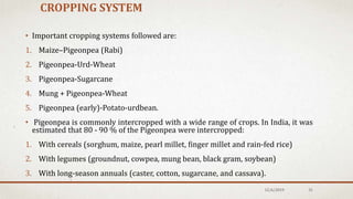 CROPPING SYSTEM
• Important cropping systems followed are:
1. Maize–Pigeonpea (Rabi)
2. Pigeonpea-Urd-Wheat
3. Pigeonpea-Sugarcane
4. Mung + Pigeonpea-Wheat
5. Pigeonpea (early)-Potato-urdbean.
• Pigeonpea is commonly intercropped with a wide range of crops. In India, it was
estimated that 80 - 90 % of the Pigeonpea were intercropped:
1. With cereals (sorghum, maize, pearl millet, finger millet and rain-fed rice)
2. With legumes (groundnut, cowpea, mung bean, black gram, soybean)
3. With long-season annuals (caster, cotton, sugarcane, and cassava).
12/6/2019 31
 