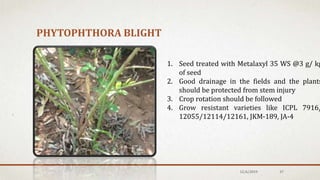 PHYTOPHTHORA BLIGHT
1. Seed treated with Metalaxyl 35 WS @3 g/ kg
of seed
2. Good drainage in the fields and the plants
should be protected from stem injury
3. Crop rotation should be followed
4. Grow resistant varieties like ICPL 7916/
12055/12114/12161, JKM-189, JA-4
12/6/2019 37
 