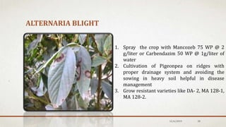 ALTERNARIA BLIGHT
1. Spray the crop with Mancozeb 75 WP @ 2
g/liter or Carbendazim 50 WP @ 1g/liter of
water
2. Cultivation of Pigeonpea on ridges with
proper drainage system and avoiding the
sowing in heavy soil helpful in disease
management
3. Grow resistant varieties like DA- 2, MA 128-1,
MA 128-2.
12/6/2019 38
 