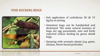 POD SUCKING BUGS
12/6/2019 43
• Soil application of carbofuran 3G @ 15
kg/ha at sowing
• Immature bugs can be handpicked and
destroyed. The main natural enemies of
bugs are egg parasitoids, ants and birds
reported reduce feeding by green shield
bugs
• Spraying with aromatic plants (e.g. gums,
lantana, Neem-based pesticides
 
