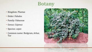 • Kingdom: Plantae
• Order: Fabales
• Family: Fabaceae
• Genus: Cajanus
• Species: cajan
• Common name: Redgram, Arhar,
Tur
12/6/2019 7
 