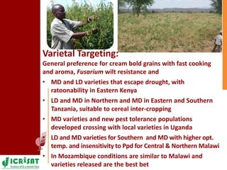 Pigeonpea in ESA - A story of two decades