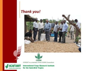 Pigeonpea in ESA - A story of two decades