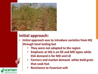 Pigeonpea in ESA - A story of two decades