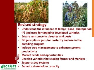 Pigeonpea in ESA - A story of two decades