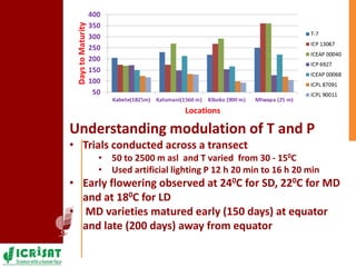 Pigeonpea in ESA - A story of two decades