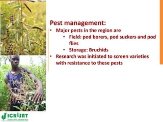 Pigeonpea in ESA - A story of two decades