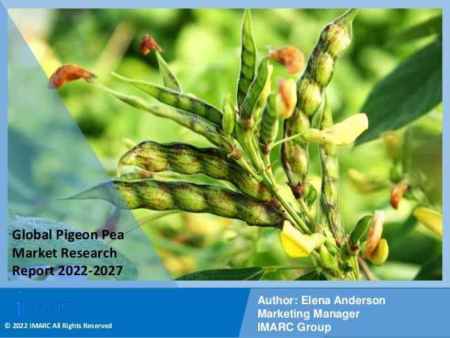 Copyright © IMARC Service Pvt Ltd. All Rights Reserved
Global Pigeon Pea
Market Research
Report 2022-2027
Author: Elena Anderson
Marketing Manager
IMARC Group
© 2022 IMARC All Rights Reserved
 