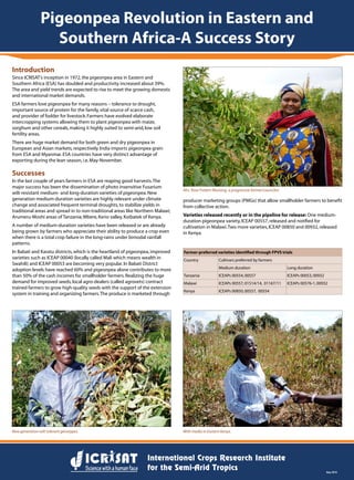 Pigeonpea Revolution in Eastern and
Southern Africa-A Success Story
Sep 2010
Introduction
Since ICRISAT’s inception in 1972,the pigeonpea area in Eastern and
Southern Africa (ESA) has doubled and productivity increased about 39%.
The area and yield trends are expected to rise to meet the growing domestic
and international market demands.
ESA farmers love pigeonpea for many reasons – tolerance to drought,
important source of protein for the family,vital source of scarce cash,
and provider of fodder for livestock.Farmers have evolved elaborate
intercropping systems allowing them to plant pigeonpea with maize,
sorghum and other cereals,making it highly suited to semi-arid,low soil
fertility areas.
There are huge market demand for both green and dry pigeonpea in
European and Asian markets,respectively.India imports pigeonpea grain
from ESA and Myanmar.ESA countries have very distinct advantage of
exporting during the lean season,i.e.May-November.
Successes
In the last couple of years farmers in ESA are reaping good harvests.The
major success has been the dissemination of photo insensitive Fusarium
wilt-resistant medium- and long-duration varieties of pigeonpea.New
generation medium-duration varieties are highly relevant under climate
change and associated frequent terminal droughts,to stabilize yields in
traditional areas and spread in to non-traditional areas like Northern Malawi;
Arumeru-Moshi areas of Tanzania; Mbere,Kerio valley,Koibatek of Kenya.
A number of medium-duration varieties have been released or are already
being grown by farmers who appreciate their ability to produce a crop even
when there is a total crop failure in the long-rains under bimodal rainfall
patterns.
In Babati and Karatu districts,which is the heartland of pigeonpea,improved
varieties such as ICEAP 00040 (locally called Mali which means wealth in
Swahili) and ICEAP 00053 are becoming very popular.In Babati District
adoption levels have reached 60% and pigeonpea alone contributes to more
than 50% of the cash incomes for smallholder farmers.Realizing the huge
demand for improved seeds,local agro-dealers (called agrovets) contract
trained farmers to grow high-quality seeds with the support of the extension
system in training and organizing farmers.The produce is marketed through
producer marketing groups (PMGs) that allow smallholder farmers to benefit
from collective action.
Varieties released recently or in the pipeline for release: One medium-
duration pigeonpea variety,ICEAP 00557,released and notified for
cultivation in Malawi.Two more varieties,ICEAP 00850 and 00932,released
in Kenya.
Mrs. Rose Fratern Muriang, a progressive farmer/councilor.
New generation wilt tolerant genotypes. With media in Eastern Kenya.
Farmer-preferred varieties identified through FPVS trials
Country Cultivars preferred by farmers
Medium duration Long duration
Tanzania ICEAPs 00554,00557 ICEAPs 00053,00932
Malawi ICEAPs 00557,01514/14, 01167/11 ICEAPs 00576-1,00932
Kenya ICEAPs 00850,00557, 00554
 