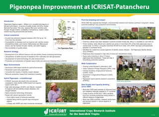 Pigeonpea Improvement at ICRISAT-Patancheru
Nov 2009
Introduction
Pigeonpea [Cajanus cajan L. (Millsp.)] is a versatile food legume of
the semi-arid tropics – a source of quality protein (20-22%), fodder,
feed and fuel wood. This crop, requires little input, enriches soils
nutrient recycling and prevents soil erosion.
Critical constraints
-1
for
Helicoverpa and Maruca pod
Pure-line breeding and impact
Research strategy
Major Achievements
Hybrid Pigeonpea – a breakthrough
to fusarium wilt and sterility mosaic diseases, and
drought tolerant.
regions
pigeonpea lines developed. These will help in
diversifying production systems.
Wide Collaboration
Myanmar
Seed Supply and Capacity Building
(since 2004)
different aspects of pigeonpea.
and farmers trained in various aspects of
pigeonpea.
Super-early pigeonpea.
Trainees from China.ICPL 88039 in hills of Uttarakhand.
ICPH 2671.
 