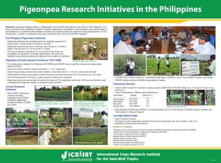 Pigeonpea Research Initiatives in the Philippines
Summary: Pigeonpea [Cajanus cajan (L.) Millspaugh] is an important food legume in the world. In the Philippines it is a
minor crop and known as kadyos or kardis. At present, pigeonpea is cultivated on 2,000 hectares in the rainfed areas of
the Philippines. It is perennial plant tolerant to drought and can grow under poor soils with a long picking period. In the
Philippines, a series of exploratory trials were conducted since 1975 using ICRISAT varieties.
The Philippine Pigeonpea Landraces
Preliminary Results:
625 kg ha
Philippine pigeonpea landrace.
Pigeonpea landraces are invariably grown for vegetable purpose on a
homestead, on roadsides, on rainfed uplands after rice, and in the
highlands where farmers practice the slash and burn system of cultivation.
Highlights of Early Research Initiatives (1975-1996)
grain yield.
yields were recorded.
yield.
dry grains.
increased body weight and quality of carcass of broiler chickens.
Short-duration pigeonpea (ICPL 88039) in rice-
fallow cropping system at Batac, Ilocos Norte,
Region 1.
Seed production of ICPL 88039 during 2007-
2008 cropping season at Mariano Marcos
State University, Batac, Ilocos Norte, Region 1.
Current Research
Initiatives
varieties are being
Philippine collaboration
Pigeonpea after rice. Sta. Maria,
Ilocos Sur
Kitchengarden and live fences for
homestead
Kitchengarden and live fences for
homestead
ICPL 88039
Soil conservation in Benguet Soil conservation in Luna, Apayao
Land class Variety Yield (t ha )
Soil conservation in Benguet
ICRISAT donated Dal mill.
Grader Dal mill PolisherGrader Dal mill Polisher
FUTURE DIRECTIONS
Partners in Progress:
 
