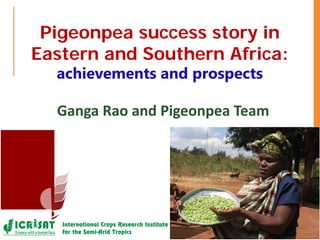 Pigeonpea success story in
Eastern and Southern Africa:
achievements and prospects
Ganga Rao and Pigeonpea Team
 